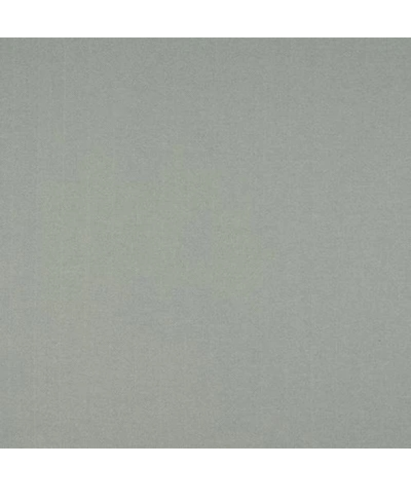 Carnegie Duck Egg Swatch